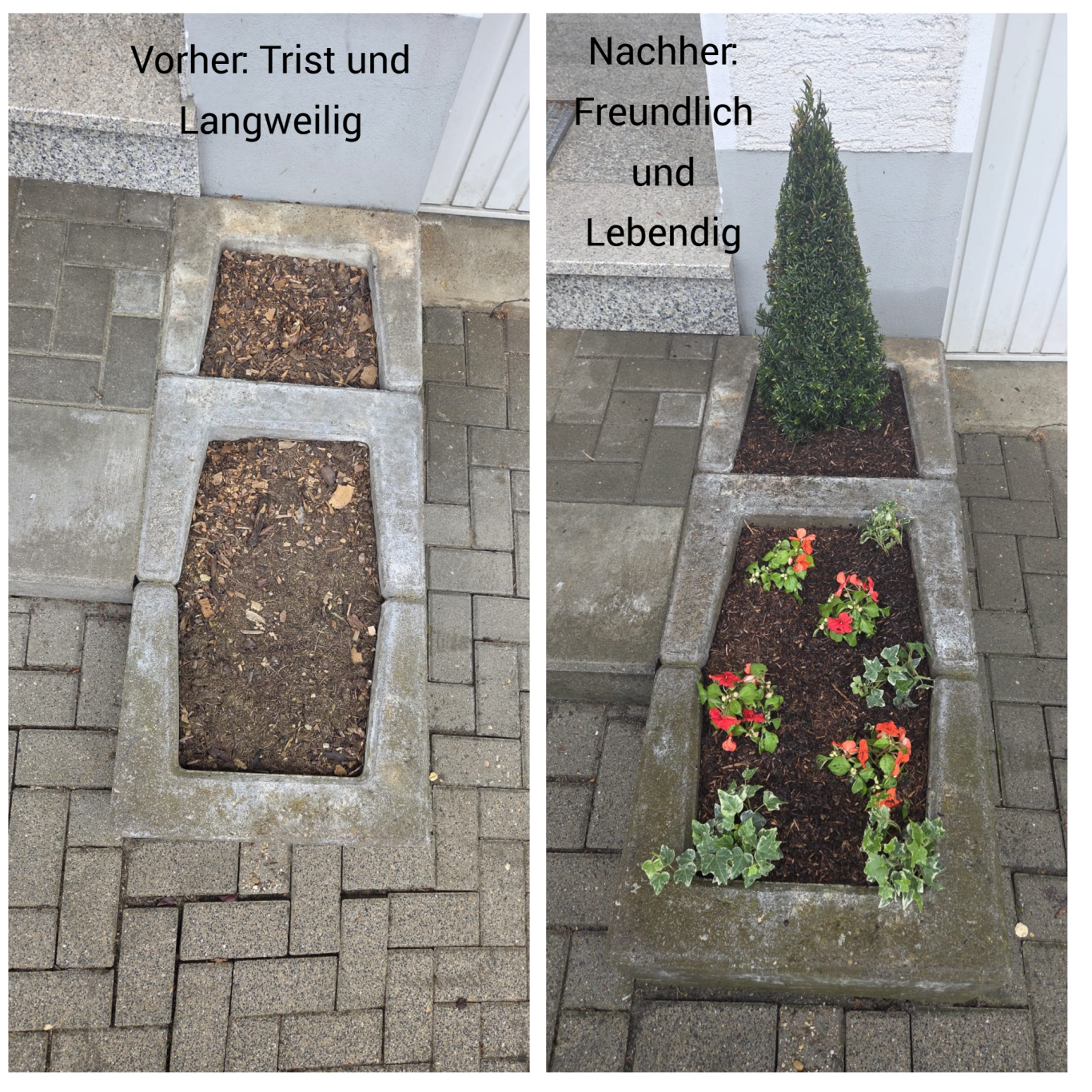 Beetbepflanzung